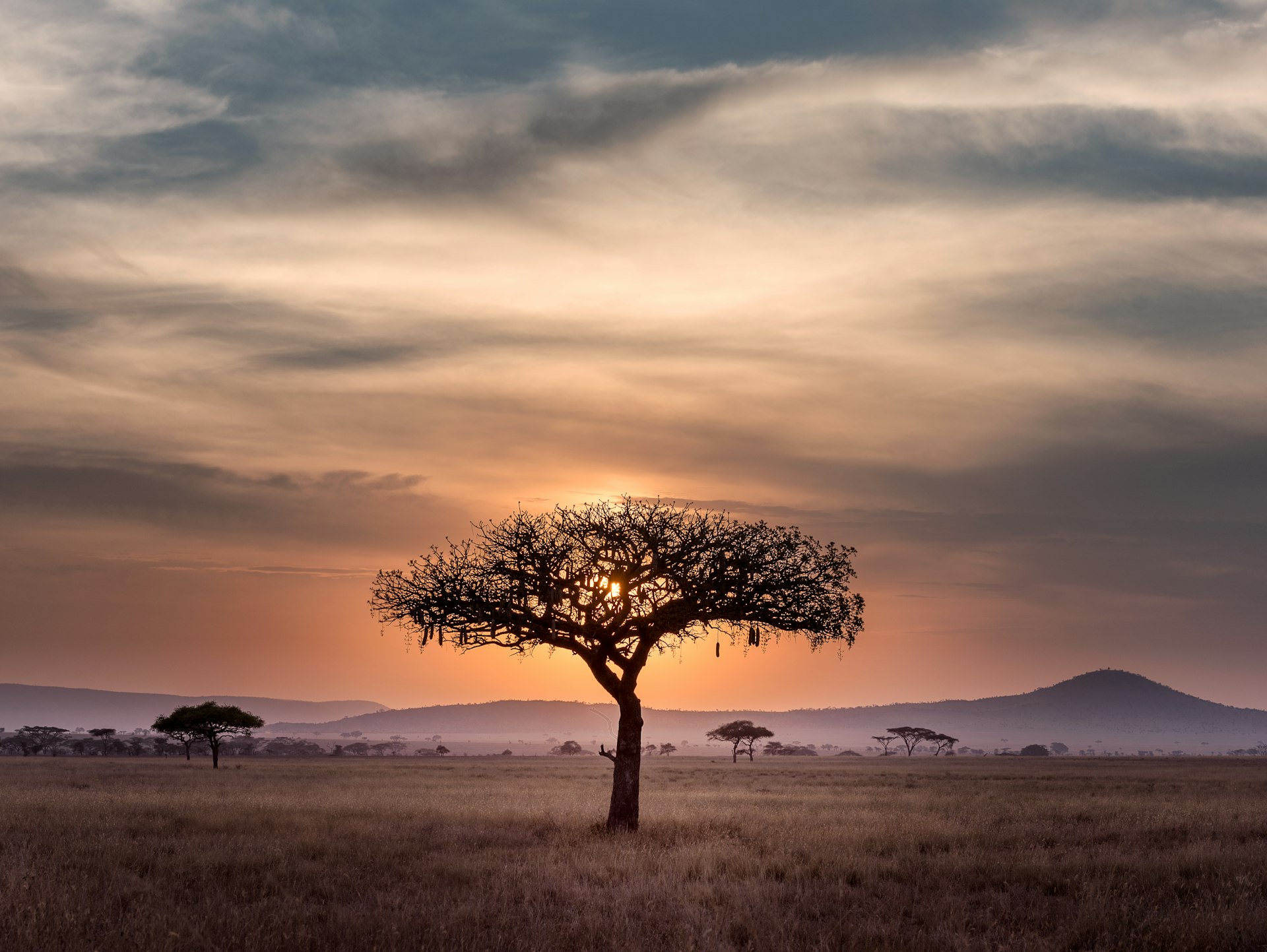 African village life