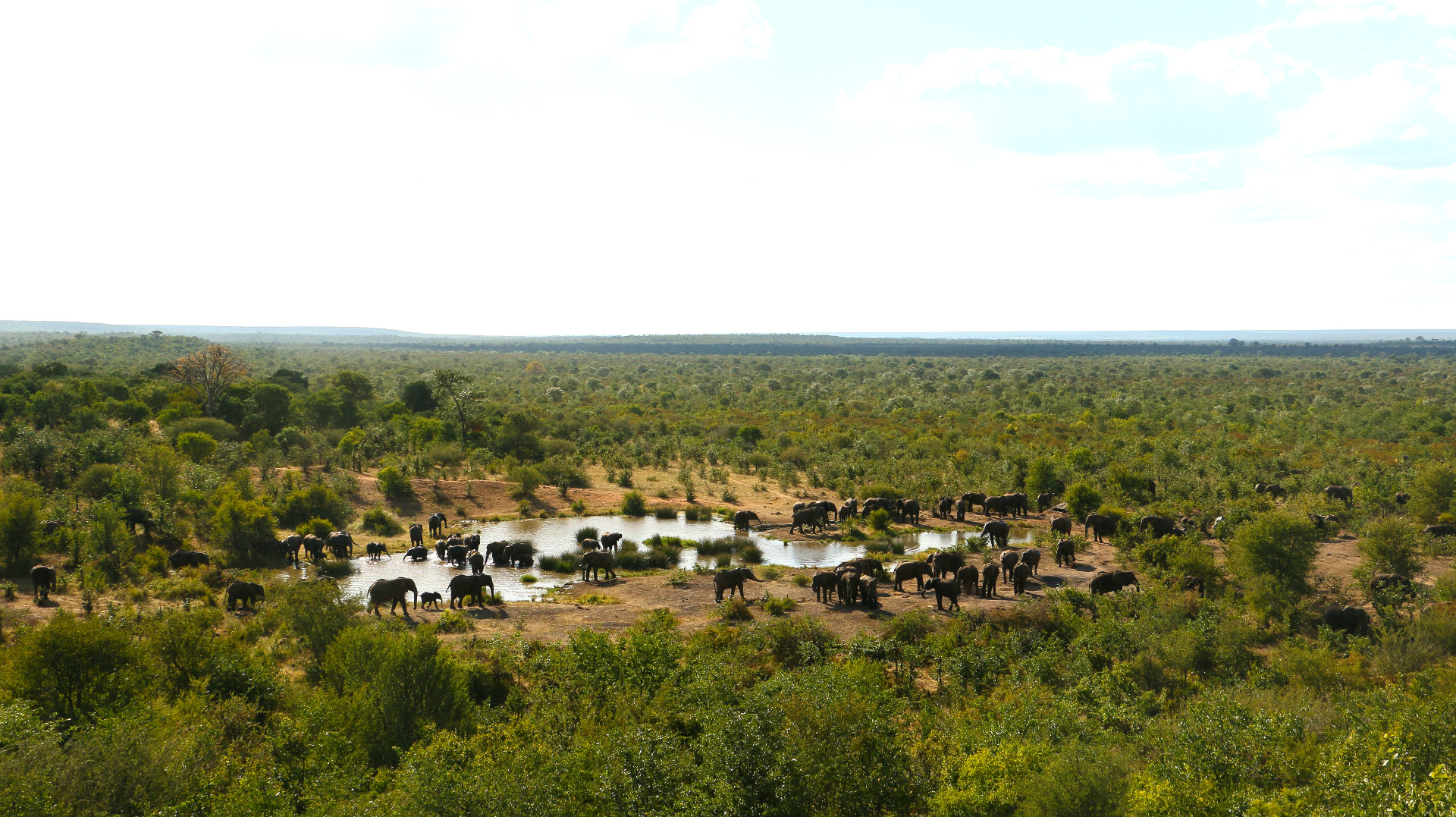 Wildlife Reserve